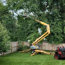 Best Arborist Consultation Services  in Palm Beach, FL